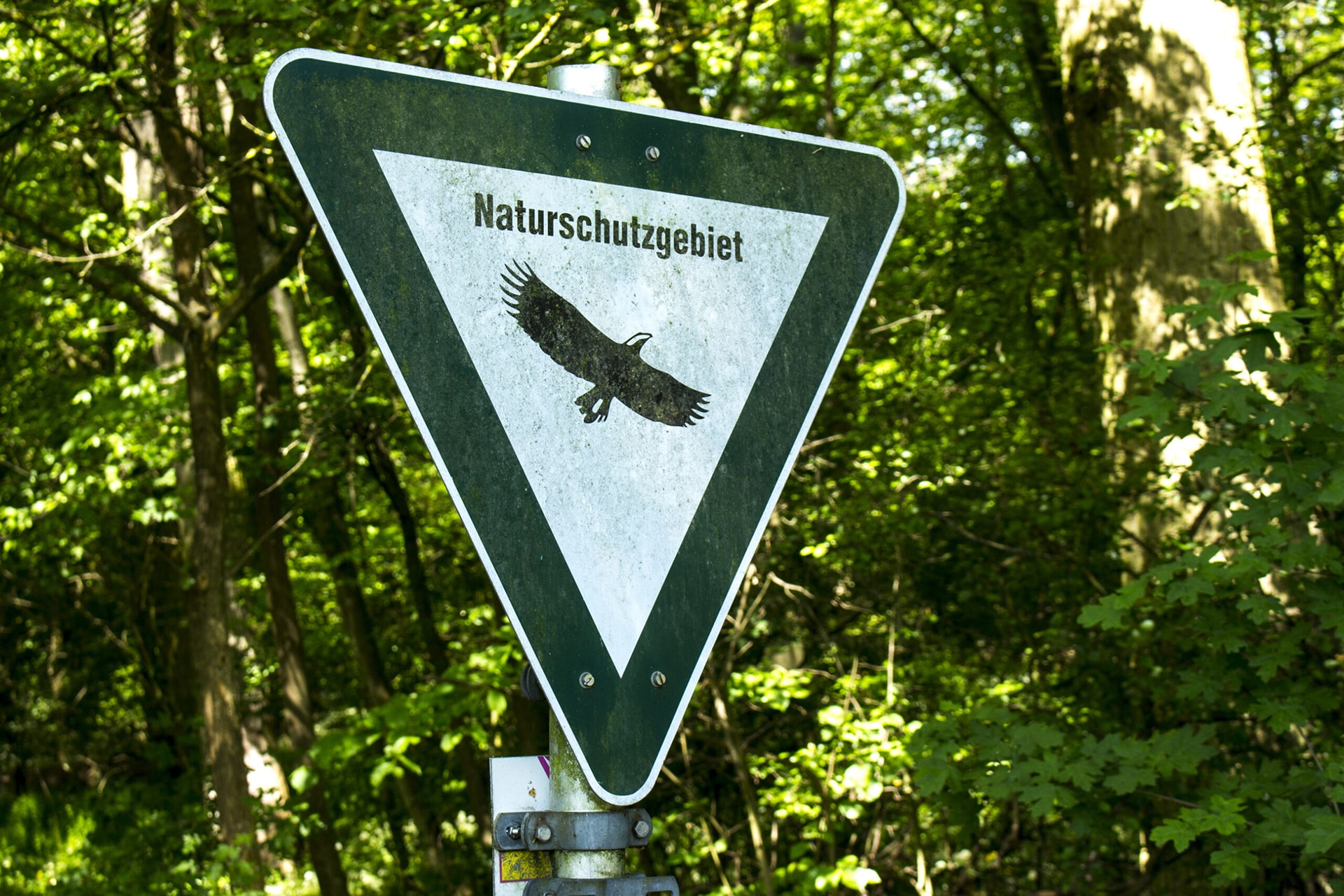 Das Foto zeigt ein Schild im Wald mit dem Hinweis auf ein Naturschutzgebiet.